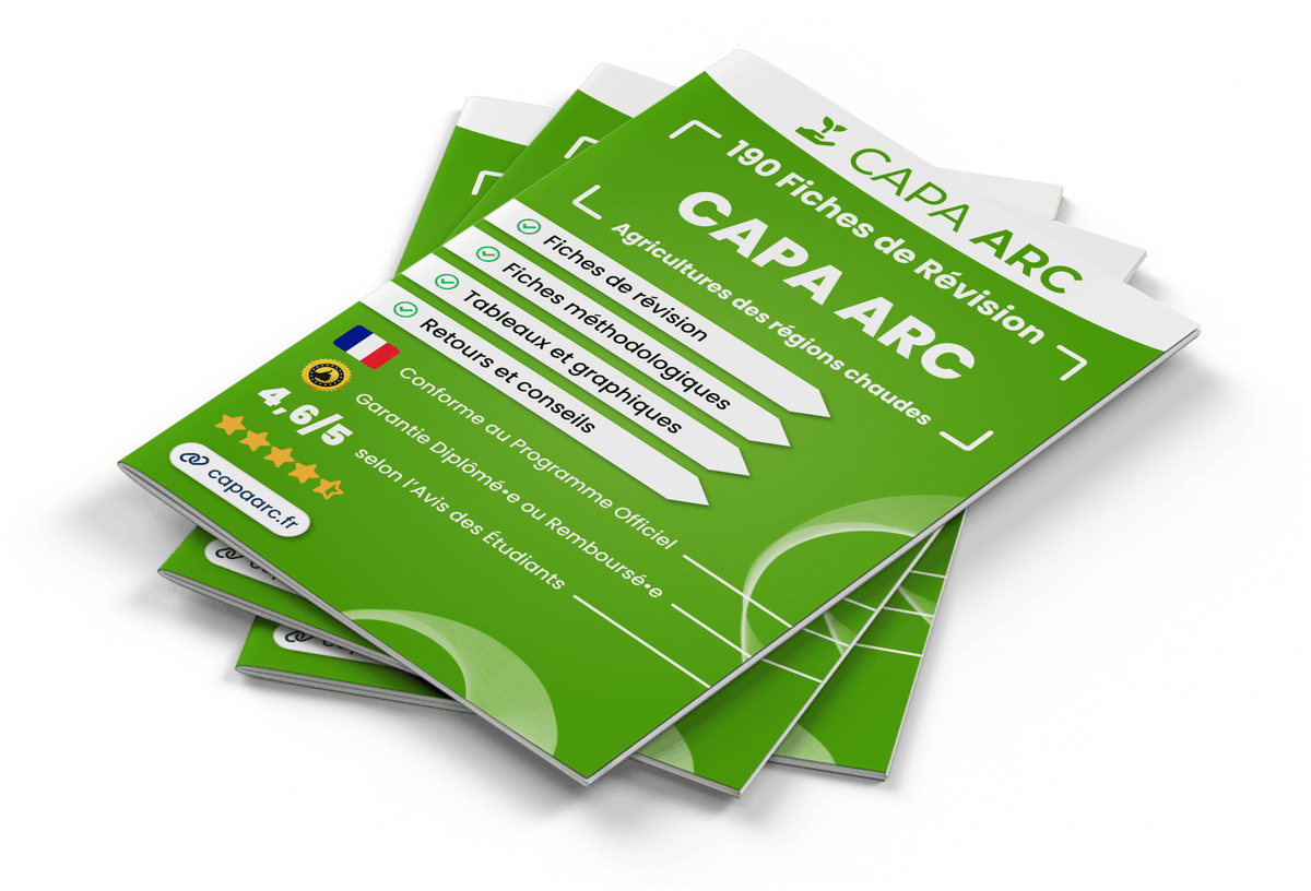 Image produit fiches-de-revision
